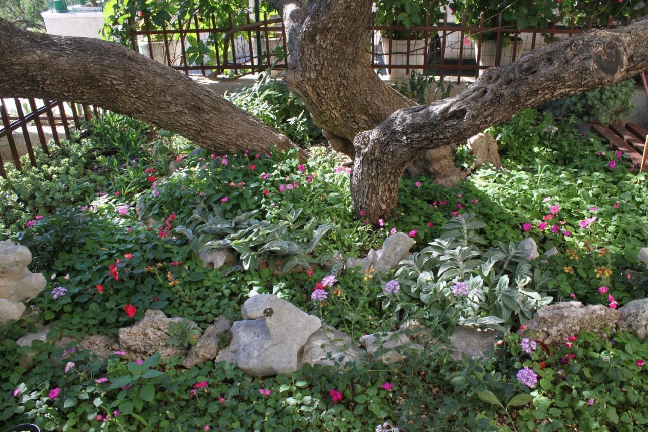 Apartments With A Parking Space Makarska - 6792 المظهر الخارجي الصورة